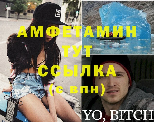 индика Бородино