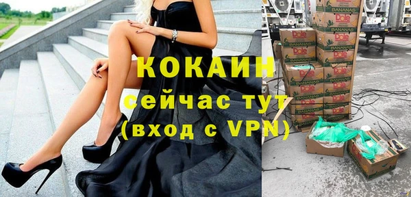 мескалин Каменка