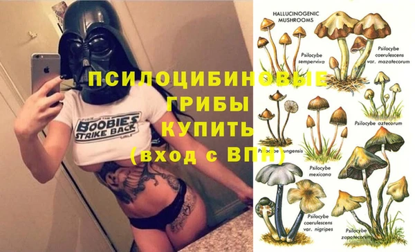 крисы Каменногорск