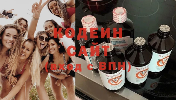 крисы Каменногорск