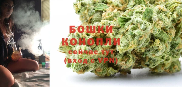 крисы Каменногорск