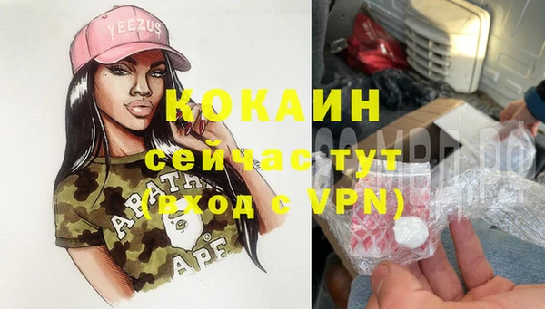 крисы Каменногорск