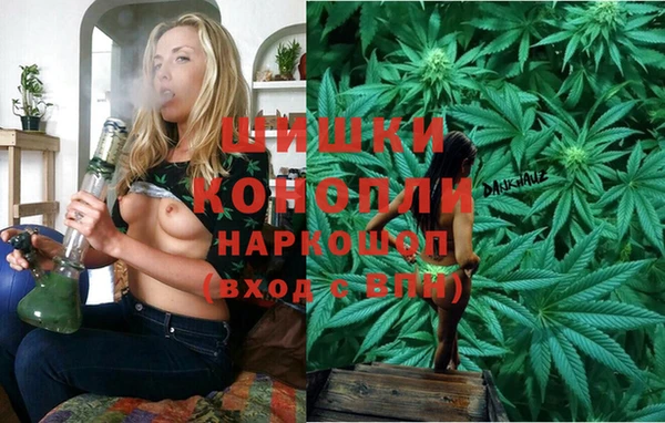 крисы Каменногорск