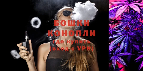 крисы Каменногорск
