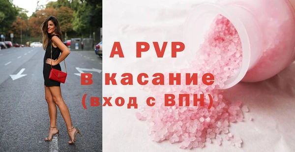 крисы Каменногорск