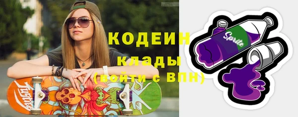 крисы Каменногорск