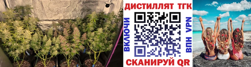 магазин продажи наркотиков  Керчь  ТГК жижа 
