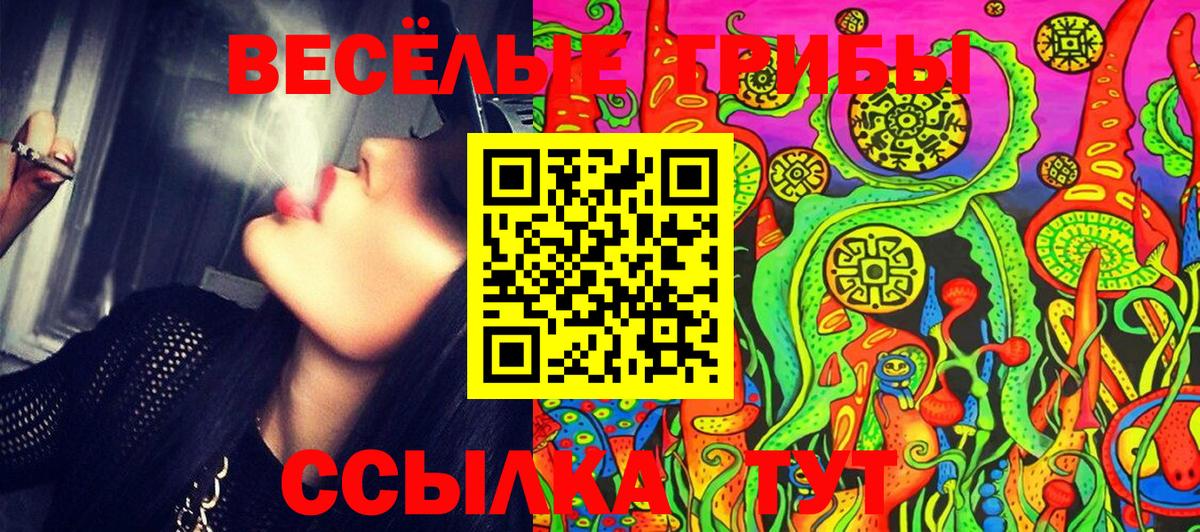 Галлюциногенные грибы Magic Shrooms  Вход с VPN  Керчь 